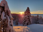 Sonne im Leben